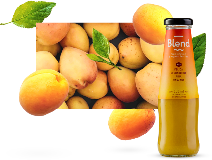 Home Organic 114 organic left img apricot - Home Organic