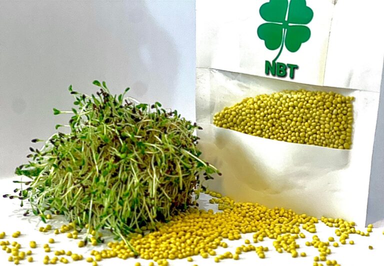 بذر یونجه گرمسیری و نیمه گرمسیری پوشش دار غنی شده