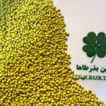 بذر پوشش دار غنی شده ( کوتینگ شده )