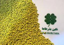 بذر پوشش دار غنی شده