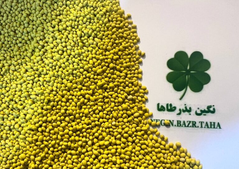 بذر پوشش دار غنی شده