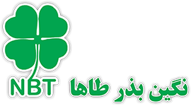 نگین بذر طاها